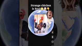 strange angry chicken 😱🤯 found on google earth shorts youtubeshorts googleearth [upl. by Haimehen593]