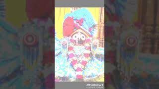 Odia public status🙏 odia bhajan video jay jagannath🌸 [upl. by Novej923]