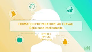 FPTDI  Formation préparatoire au travail ̶̶̶ Déficience intellectuelle [upl. by Leban]