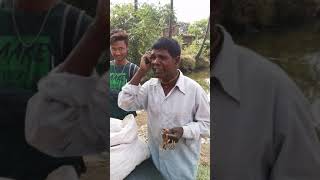 Most Trending Badam Wala From Bengal shorts [upl. by Janerich]