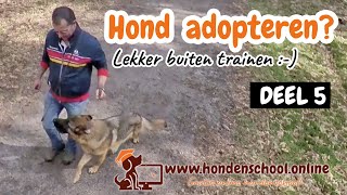 Hond adopteren deel 5  Lekker buiten trainen [upl. by Bat]