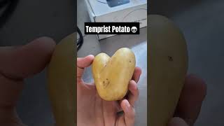 Temprist Potato 🥔 [upl. by Acisey483]