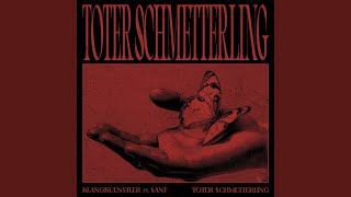 Toter Schmetterling [upl. by Ellesig]