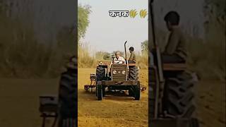 Seederagricultureकनक्🌾🌾🌾🌾farming [upl. by Eirhtug]