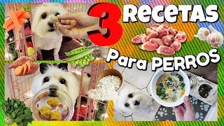 3 Recetas para Perros con Corazon de pollo comida para 3 dias snacks I Lorentix [upl. by Aggappora]