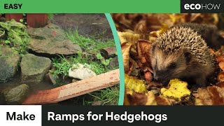 How to make a hedgehog ramp [upl. by Divd74]