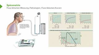 Physiologie I Atmungsphysiologie Lungenfunktionsuntersuchung  Spirometrie I Srdjan Maksimovic [upl. by Kamila]