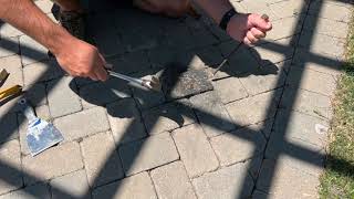 Removing Paver Stones For Repairs No fancy tools required [upl. by Haag]