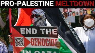 Unhinged proPalestine activists send elite universities into meltdown [upl. by Leanna]