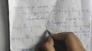 Alkylation of enolate ion [upl. by Celinka]