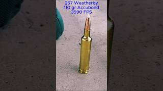 257 Weatherby at 1000 yards [upl. by Caron]