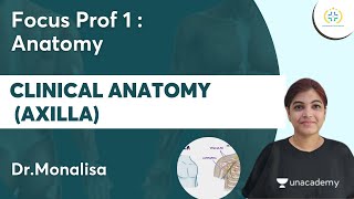 Clinical Anatomy Axilla  Focus Prof 1  Anatomy  Unacademy Future Doctors l DrMonalisa [upl. by Esalb]