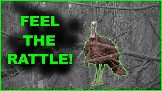 EARTH SHAKING GOBBLING ACTION  IN YOUR FACE  GREAT TURKEY AUDIO [upl. by Ute]