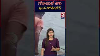 గోదావరిలో తొలి పులస దొరికిందోచ్  Godavari Famous Pulasa Fish  RTV [upl. by Alissa]