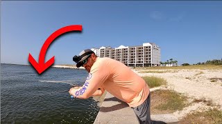 Fishing The ORANGE BEACH Seawall [upl. by Albright]