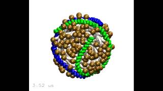 Lipoproteins that Circulate in the Blood Collecting Fat [upl. by Elocn]