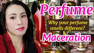 WHAT IS FRAGRANCE MACERATION  Why your PERFUME smells different  Gandang Filipina sa España [upl. by Sum]