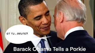 BARACK OBAMA TELLS A PORK PIE [upl. by Nolyak]