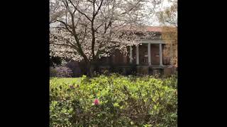 Abandoned Places Central State Mental Asylum in Milledgeville GA Part 2 [upl. by Combs]