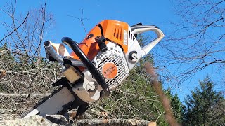 Treasure found in the Stihl MS 500i [upl. by Vernor]