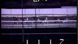 1985 Meadowlands Pace  Nihilator amp Bill ODonnell [upl. by Esinehc]