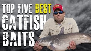 Top 5 Best Catfish Baits Made Simple  Blue Channel Flathead Catfish [upl. by Tulley368]