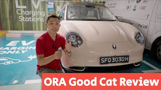 ORA Good Cat Review [upl. by Akihdar]