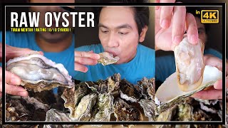 RAW OYSTER  tiram mentah  Mukbang Malaysia RATING 1010 [upl. by Dottie]