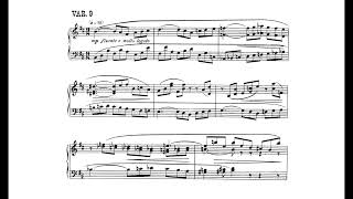 Carl Nielsen Variations in bminor Op 40 [upl. by Innep82]