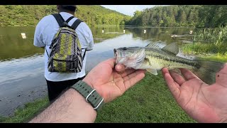 Lake Leatherwood Whopper Plopper Bass Favorite Lure [upl. by Eidoj]