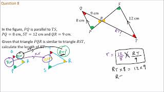 Grade 11 maths Similarity and congruence part 1 worksheet  video 2 [upl. by Deck]