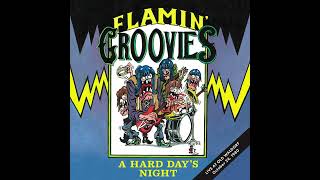 Flamin Groovies  A Hard Days Night [upl. by Arlo]