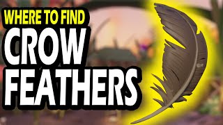 Where to find CROW FEATHERS in Grounded 10 [upl. by Enelime]