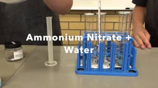 Endothermic and Exothermic Reactions [upl. by Onimixam]