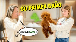 🤢 BAÑO A MI PERRO BEBÉ POR PRIMERA VEZ HUELE MUY MAL 💩 Daniela Go [upl. by Lebaron]