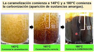 BROMATOLOGIA Caramelizacion pirolisis [upl. by Dirrej957]