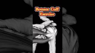 Rotator Cuff Exercise Rehab for Shoulder Impingement [upl. by Winters]