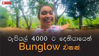 රුපියල් 4000ට දෙනියායෙන් Bungalow එකක් Budget Hotels in Sri Lanka  Deniyaya srilanka deniyaya [upl. by Candis]