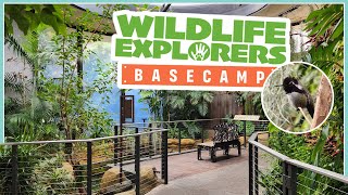 Lets Explore Basecamp At The San Diego Zoo  Zoo Tour [upl. by Barbabra]