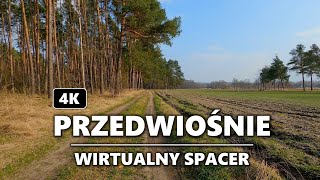 Spacer przez przedwiośnie w 4K [upl. by Anaitsirhc]