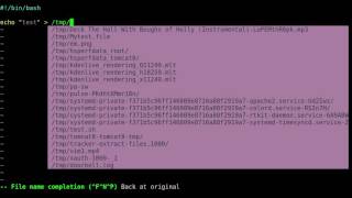 05 VIM Basic File Name Autocompletion 2017 [upl. by Aicilef350]