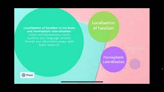 Biopsychology Localisation of function and Lateralisation [upl. by Yleen]