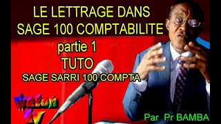 comment et quand procéder au Lettrage dans Sage 100 compta [upl. by Pallas20]