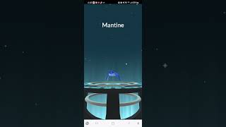 Shiny Mantyke ✨️ Evolved Pokémon shortsviral [upl. by Flyn960]