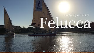 Sleeping on a Felucca  Sailing and sleeping in The Nile river  Felucca cruise [upl. by Brandie]