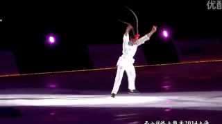 Johnny Weir  quotWhen Love Is Gonequot  Artistry on Ice 2014Shanghai [upl. by Oab]