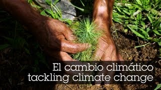 El cambio climático  tackling climate change [upl. by Stanfield434]