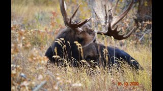 TETON NATIONAL PARKpatriot3326 [upl. by Silenay717]