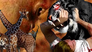 Life Of Black Tiger Play MovieThe Rage of Black TigerAction Tiger [upl. by Tartaglia79]