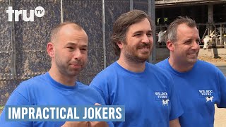 Impractical Jokers  Sal Delivers a Baby Cow Punishment  truTV [upl. by Yraeht]